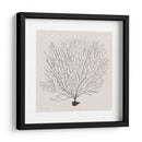 Fanático De La Sombra Del Mar Ii - Grace Popp | Cuadro decorativo de Canvas Lab