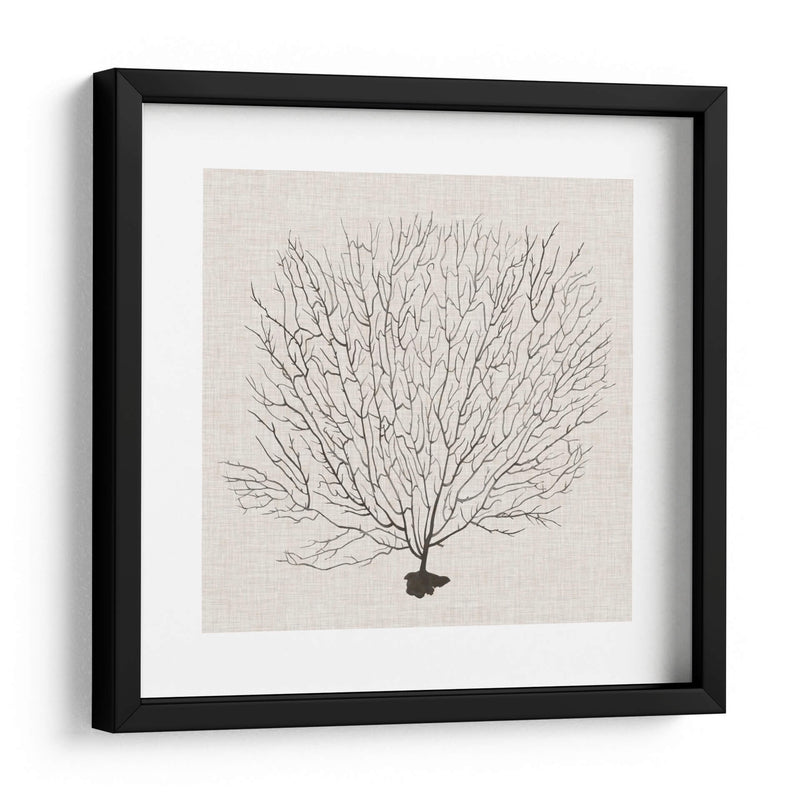 Fanático De La Sombra Del Mar Ii - Grace Popp | Cuadro decorativo de Canvas Lab