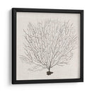 Fanático De La Sombra Del Mar Ii - Grace Popp | Cuadro decorativo de Canvas Lab