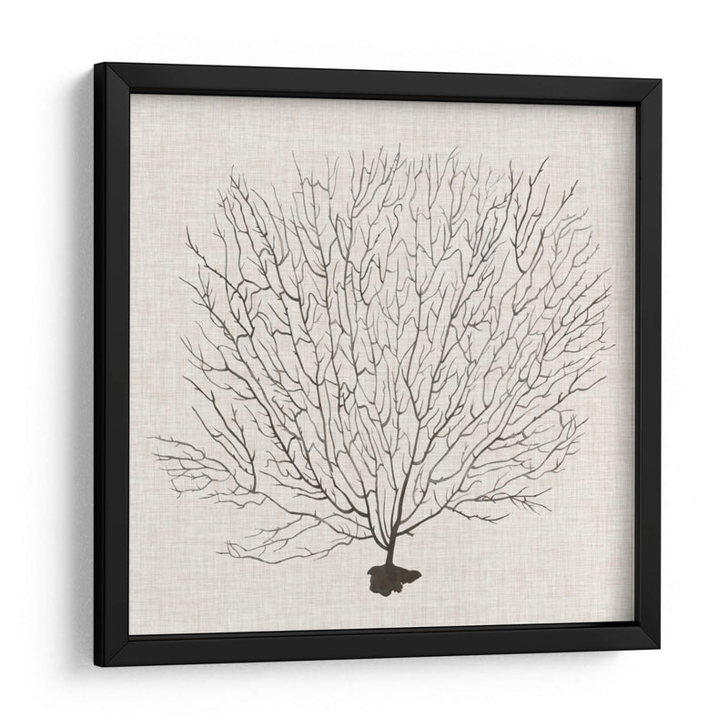 Fanático De La Sombra Del Mar Ii - Grace Popp | Cuadro decorativo de Canvas Lab