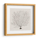 Fanático De La Sombra Del Mar Ii - Grace Popp | Cuadro decorativo de Canvas Lab