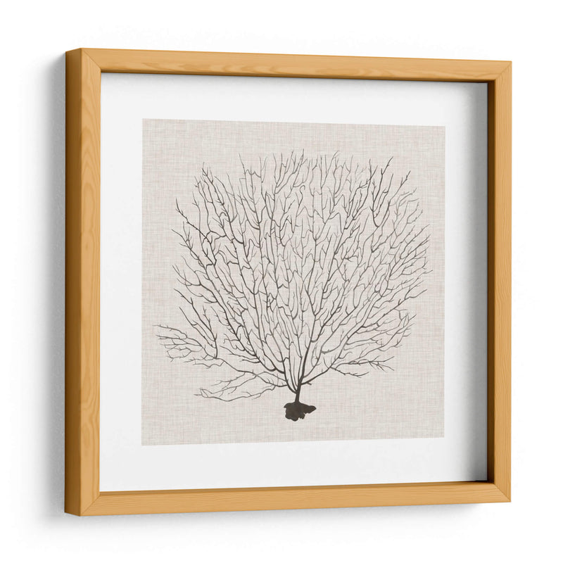 Fanático De La Sombra Del Mar Ii - Grace Popp | Cuadro decorativo de Canvas Lab