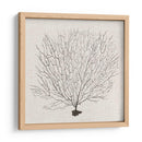 Fanático De La Sombra Del Mar Ii - Grace Popp | Cuadro decorativo de Canvas Lab