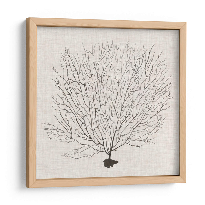 Fanático De La Sombra Del Mar Ii - Grace Popp | Cuadro decorativo de Canvas Lab