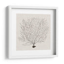 Fanático De La Sombra Del Mar Ii - Grace Popp | Cuadro decorativo de Canvas Lab