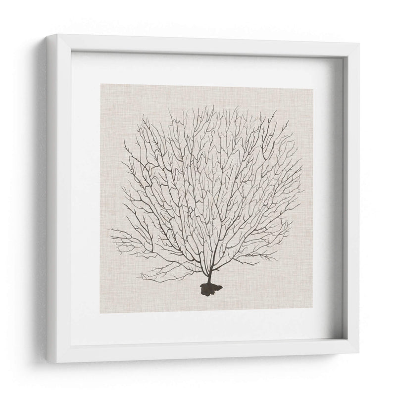 Fanático De La Sombra Del Mar Ii - Grace Popp | Cuadro decorativo de Canvas Lab