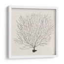 Fanático De La Sombra Del Mar Ii - Grace Popp | Cuadro decorativo de Canvas Lab