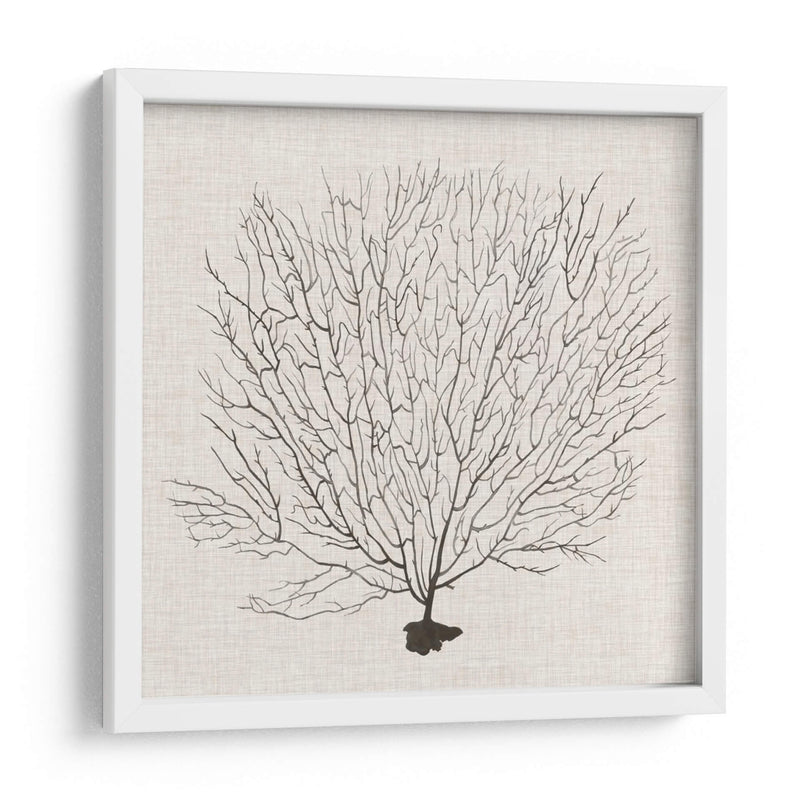 Fanático De La Sombra Del Mar Ii - Grace Popp | Cuadro decorativo de Canvas Lab