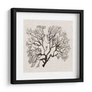 Sombra Sea Fan Iii - Grace Popp | Cuadro decorativo de Canvas Lab