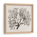 Sombra Sea Fan Iii - Grace Popp | Cuadro decorativo de Canvas Lab