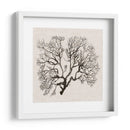 Sombra Sea Fan Iii - Grace Popp | Cuadro decorativo de Canvas Lab