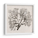 Sombra Sea Fan Iii - Grace Popp | Cuadro decorativo de Canvas Lab