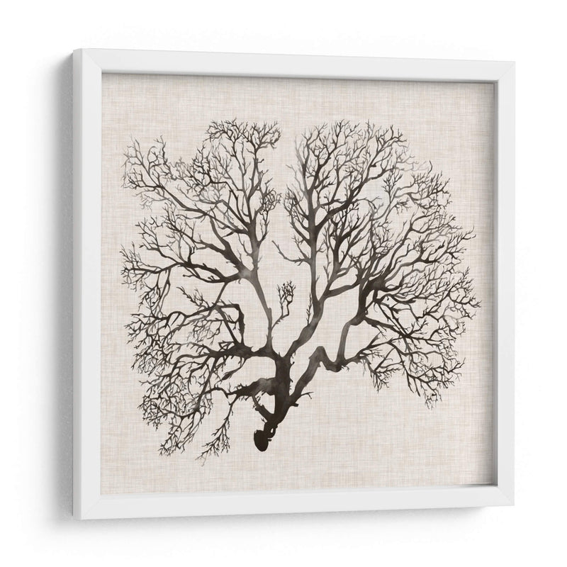 Sombra Sea Fan Iii - Grace Popp | Cuadro decorativo de Canvas Lab