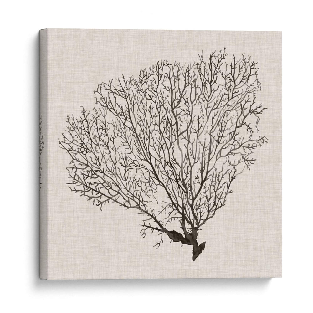 Sombra De Mar Fan Iv - Grace Popp | Cuadro decorativo de Canvas Lab