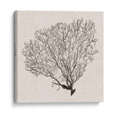 Sombra De Mar Fan Iv - Grace Popp | Cuadro decorativo de Canvas Lab