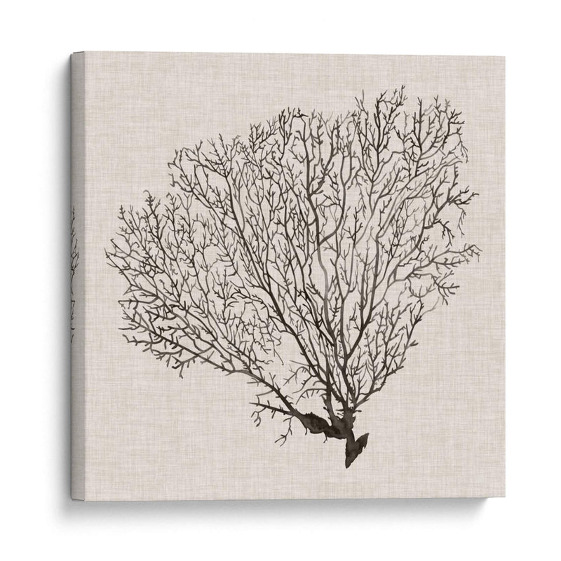 Sombra De Mar Fan Iv - Grace Popp | Cuadro decorativo de Canvas Lab