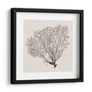 Sombra De Mar Fan Iv - Grace Popp | Cuadro decorativo de Canvas Lab