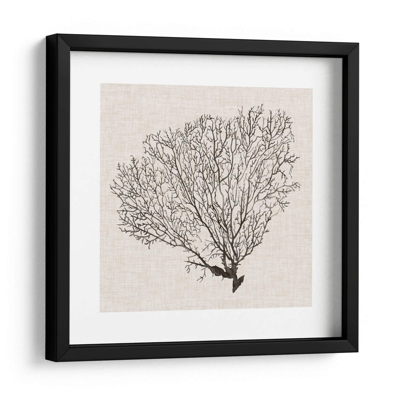 Sombra De Mar Fan Iv - Grace Popp | Cuadro decorativo de Canvas Lab