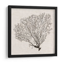 Sombra De Mar Fan Iv - Grace Popp | Cuadro decorativo de Canvas Lab