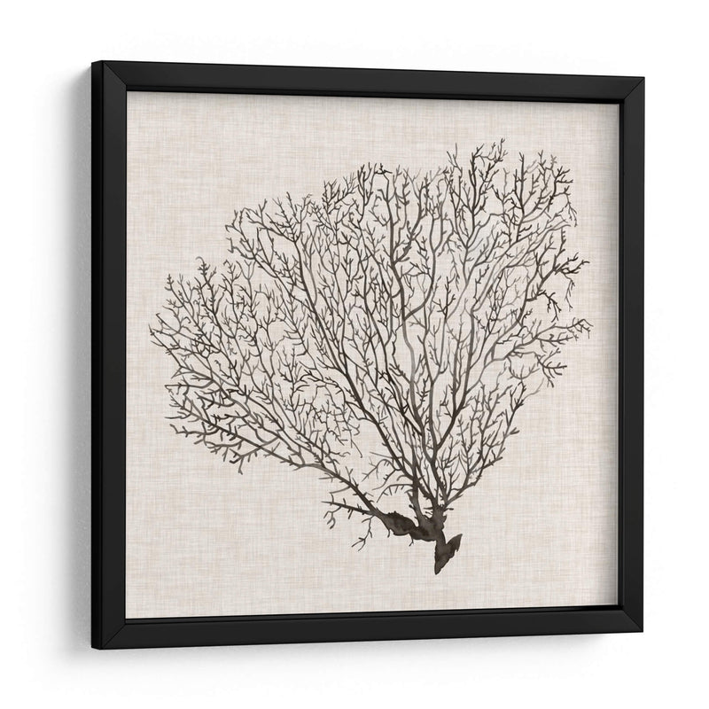 Sombra De Mar Fan Iv - Grace Popp | Cuadro decorativo de Canvas Lab