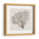 Sombra De Mar Fan Iv - Grace Popp | Cuadro decorativo de Canvas Lab