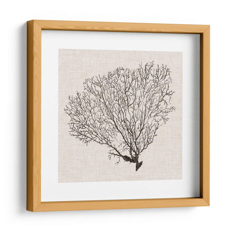 Sombra De Mar Fan Iv - Grace Popp | Cuadro decorativo de Canvas Lab