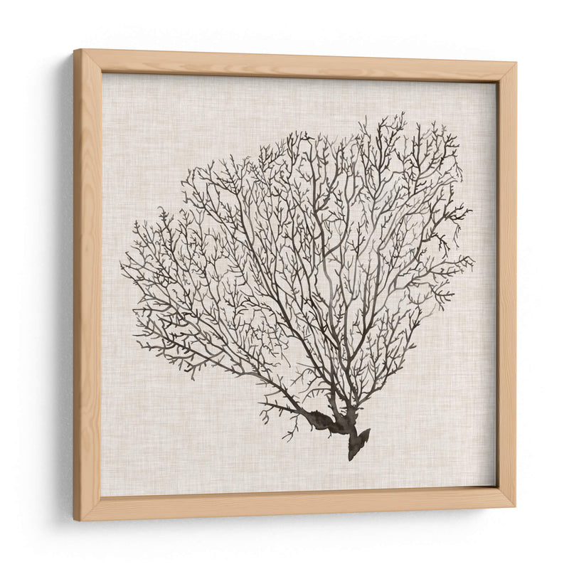 Sombra De Mar Fan Iv - Grace Popp | Cuadro decorativo de Canvas Lab