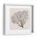 Sombra De Mar Fan Iv - Grace Popp | Cuadro decorativo de Canvas Lab