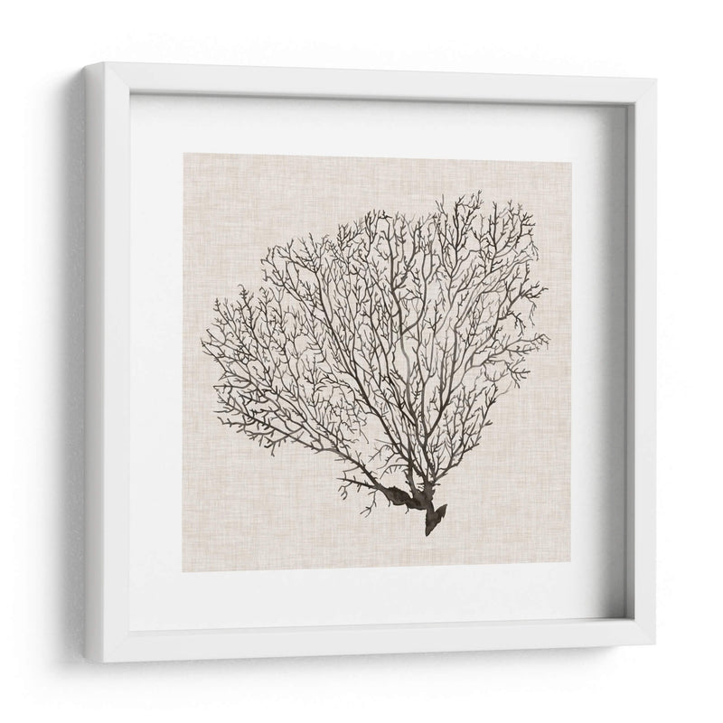 Sombra De Mar Fan Iv - Grace Popp | Cuadro decorativo de Canvas Lab