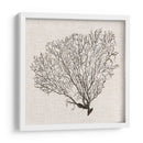 Sombra De Mar Fan Iv - Grace Popp | Cuadro decorativo de Canvas Lab