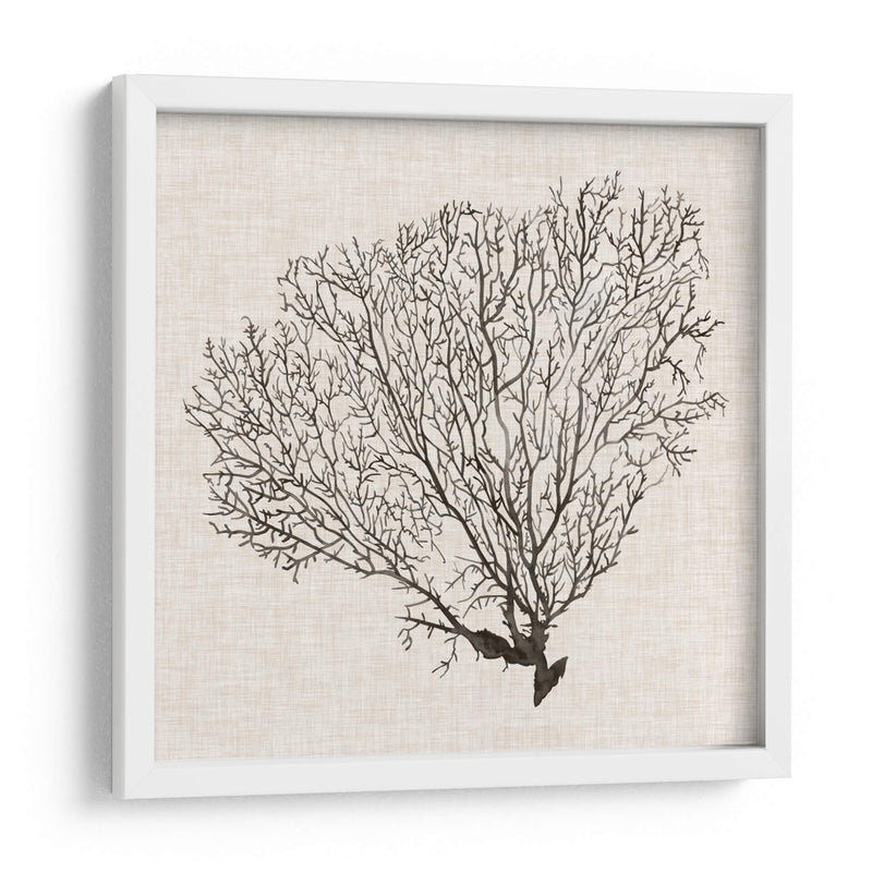 Sombra De Mar Fan Iv - Grace Popp | Cuadro decorativo de Canvas Lab