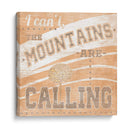 Lodge Life Iv - June Erica Vess | Cuadro decorativo de Canvas Lab