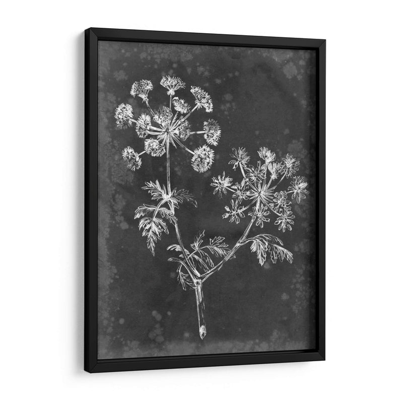 Pizarra Floral I - Ethan Harper | Cuadro decorativo de Canvas Lab