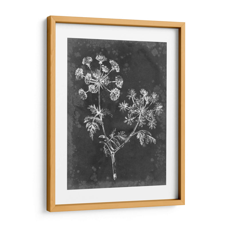 Pizarra Floral I - Ethan Harper | Cuadro decorativo de Canvas Lab