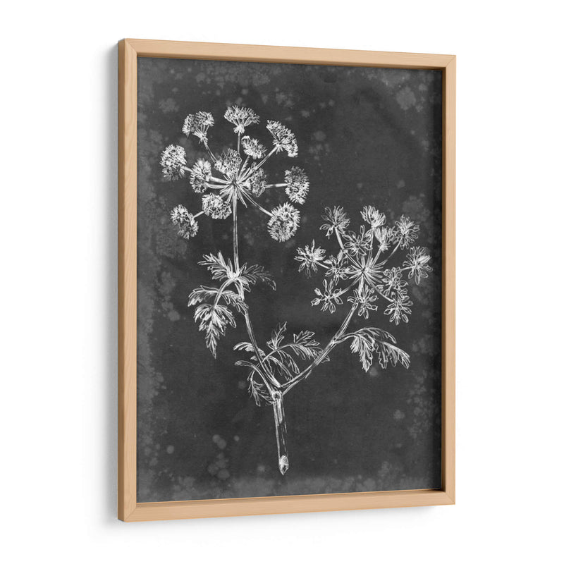 Pizarra Floral I - Ethan Harper | Cuadro decorativo de Canvas Lab