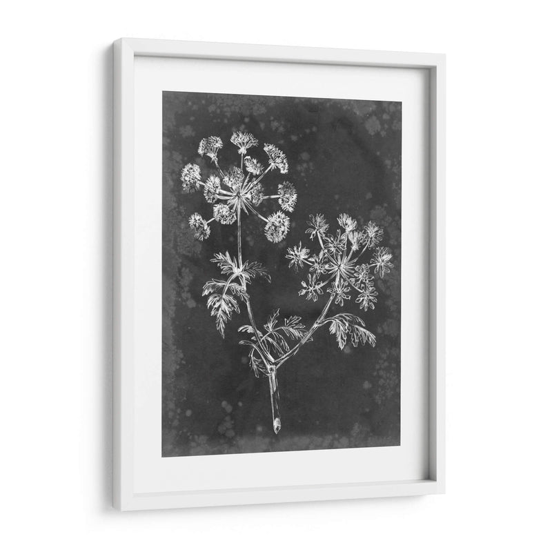 Pizarra Floral I - Ethan Harper | Cuadro decorativo de Canvas Lab