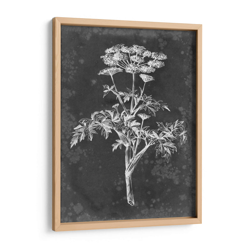 Pizarra Floral Ii - Ethan Harper | Cuadro decorativo de Canvas Lab