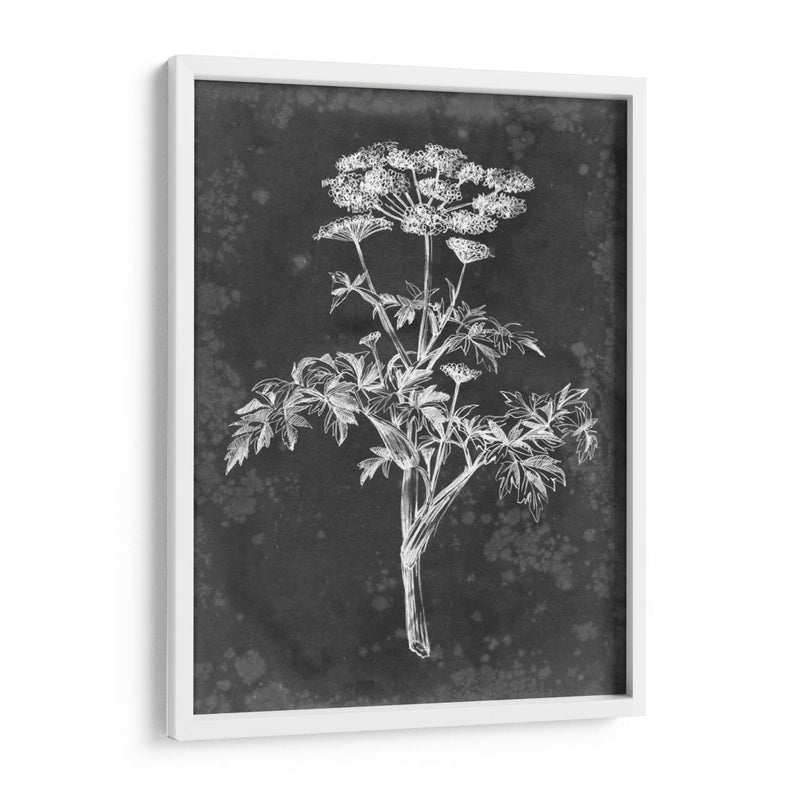 Pizarra Floral Ii - Ethan Harper | Cuadro decorativo de Canvas Lab