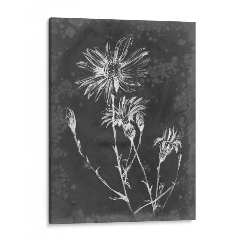 Pizarra Floral Iii - Ethan Harper | Cuadro decorativo de Canvas Lab