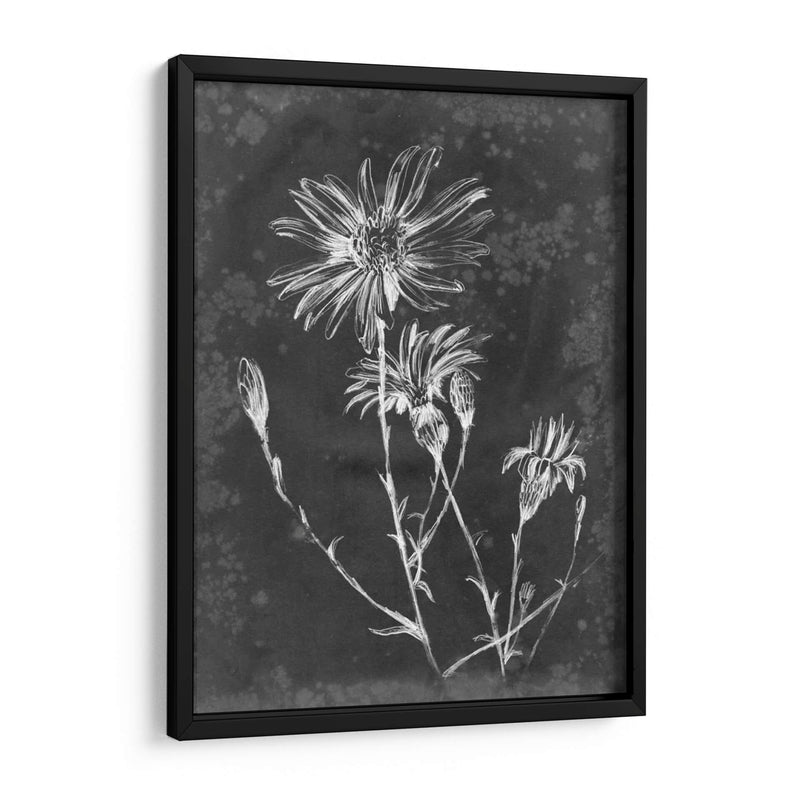 Pizarra Floral Iii - Ethan Harper | Cuadro decorativo de Canvas Lab