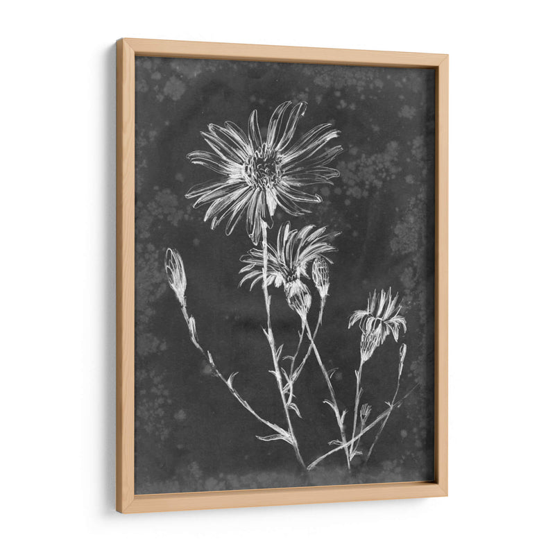 Pizarra Floral Iii - Ethan Harper | Cuadro decorativo de Canvas Lab