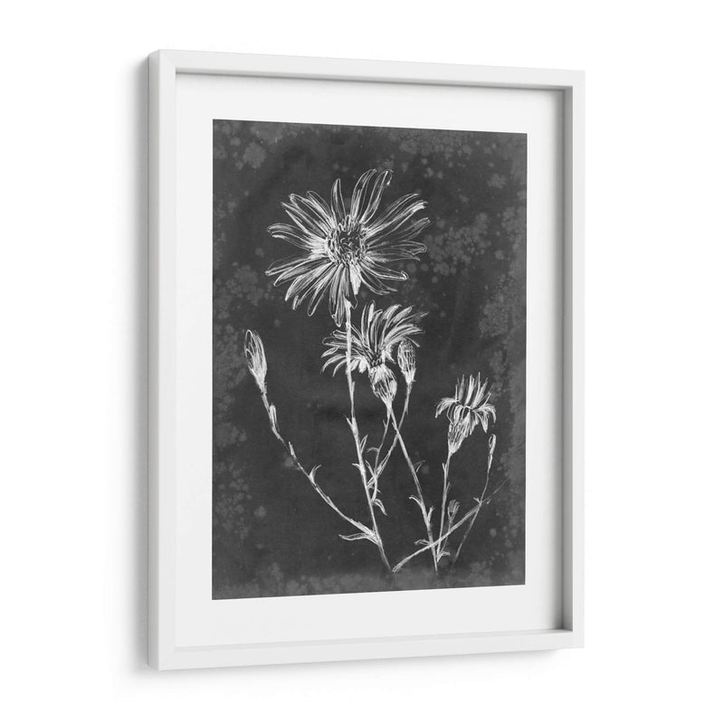 Pizarra Floral Iii - Ethan Harper | Cuadro decorativo de Canvas Lab