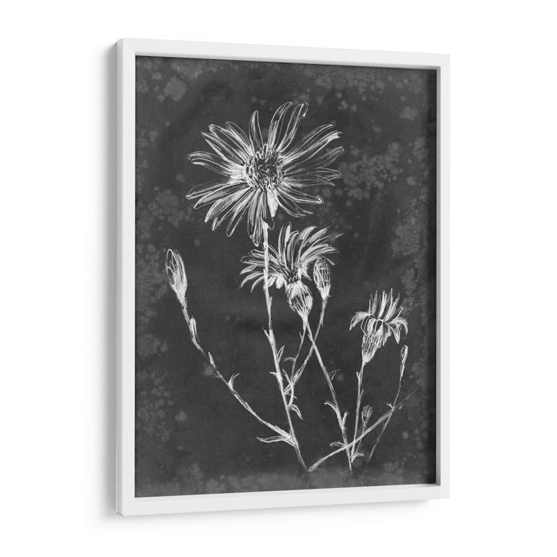 Pizarra Floral Iii - Ethan Harper | Cuadro decorativo de Canvas Lab