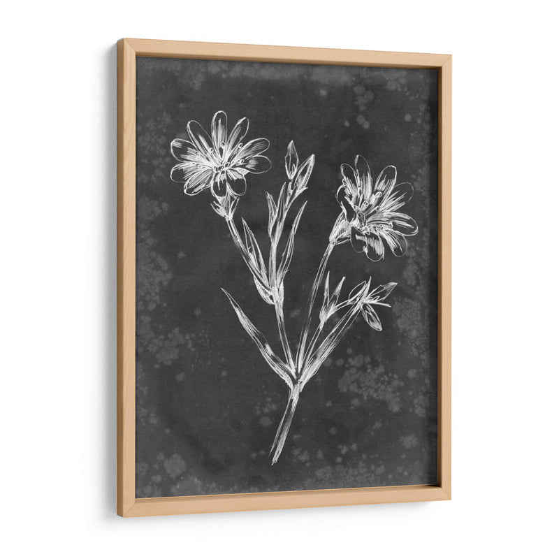 Pizarra Floral Iv - Ethan Harper | Cuadro decorativo de Canvas Lab