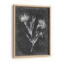 Pizarra Floral Iv - Ethan Harper | Cuadro decorativo de Canvas Lab