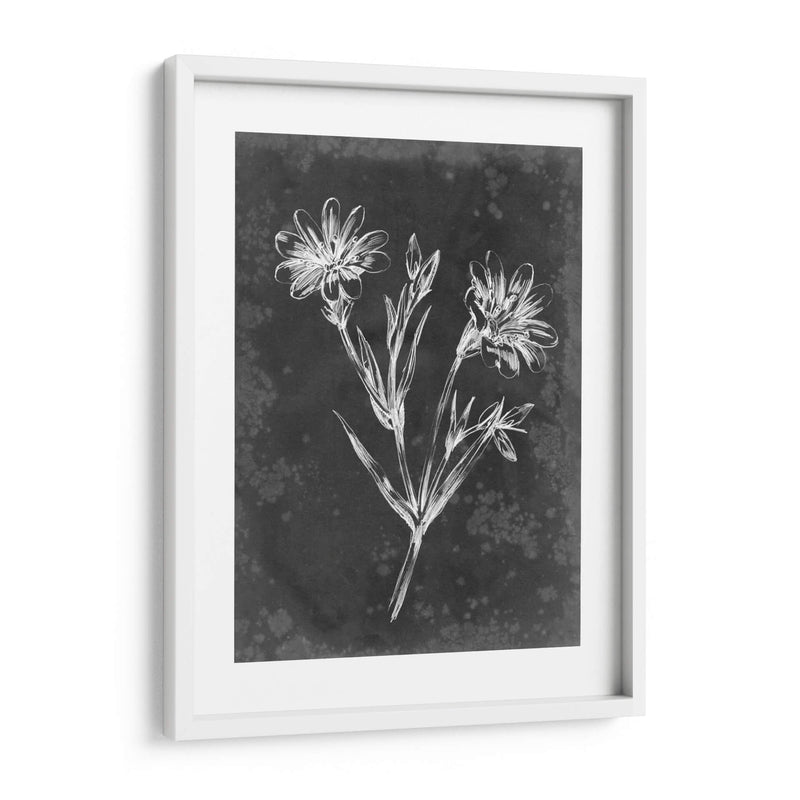 Pizarra Floral Iv - Ethan Harper | Cuadro decorativo de Canvas Lab