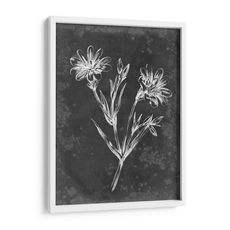 Pizarra Floral Iv - Ethan Harper | Cuadro decorativo de Canvas Lab