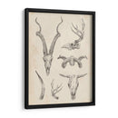 Skull And Trler Study I - Ethan Harper | Cuadro decorativo de Canvas Lab