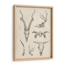 Skull And Trler Study I - Ethan Harper | Cuadro decorativo de Canvas Lab