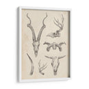 Skull And Trler Study I - Ethan Harper | Cuadro decorativo de Canvas Lab